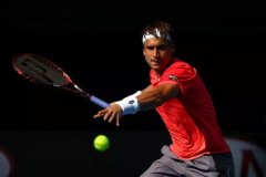 瑞典赛费雷尔陷苦战,携手同胞闯进四强 瑞典赛费雷尔陷苦战,携手同胞闯进四强